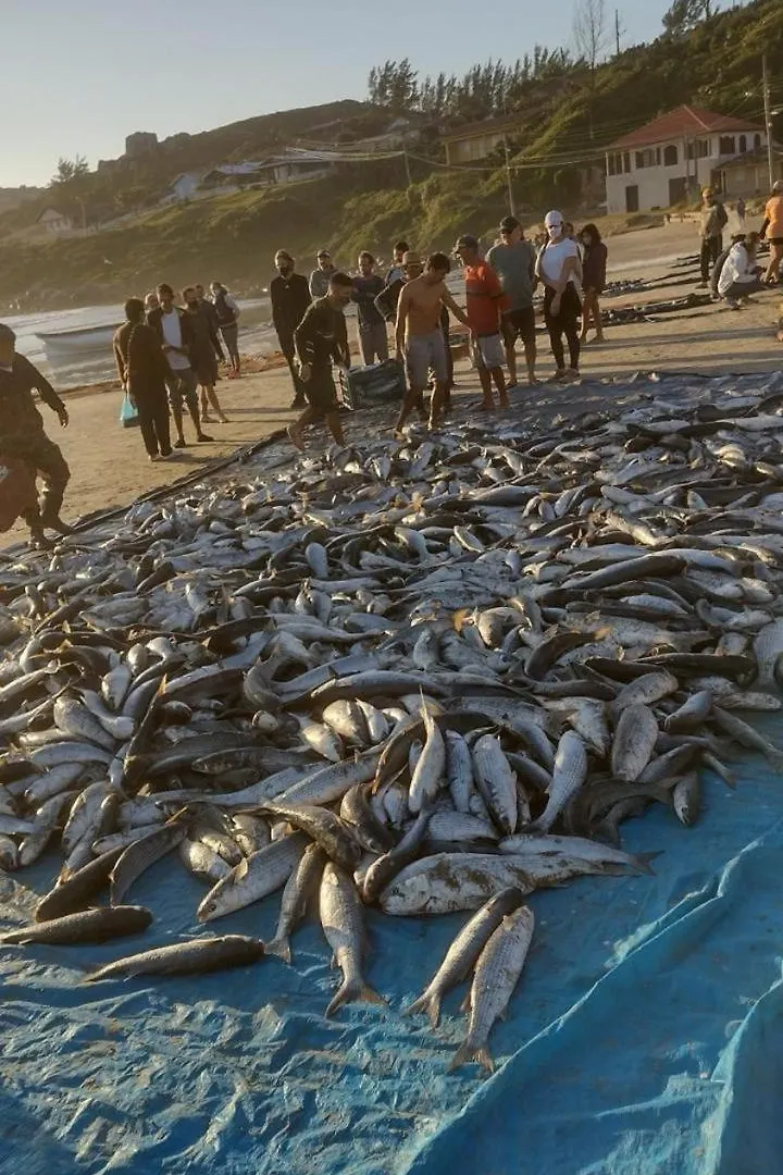 別荘 Casa Praia De Itapiruba Sc インビトゥバ