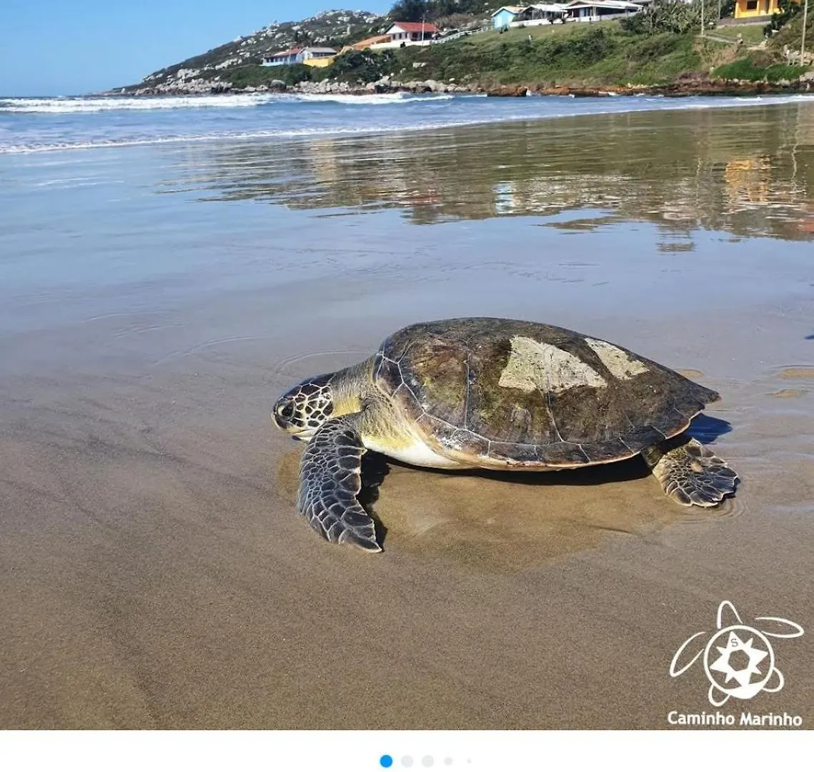 אימביטובה Casa Praia De Itapiruba Sc 0*,